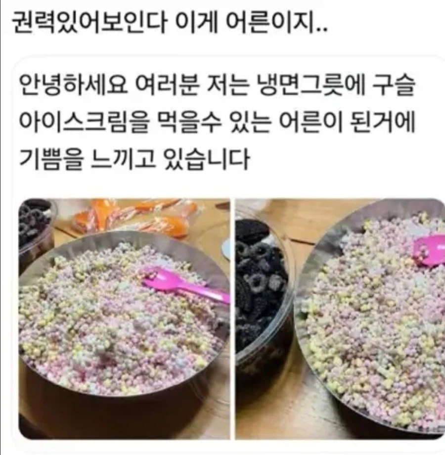이게 어른이지.jpg_1.webp