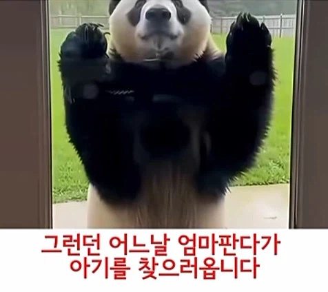 유투브 쇼츠 AI 뇌절 대잔치_10.webp