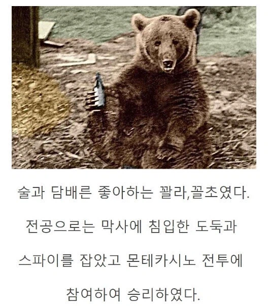 전쟁 후 쓸모 없어진 용사를 감옥으로 보내는 클리셰_2.webp