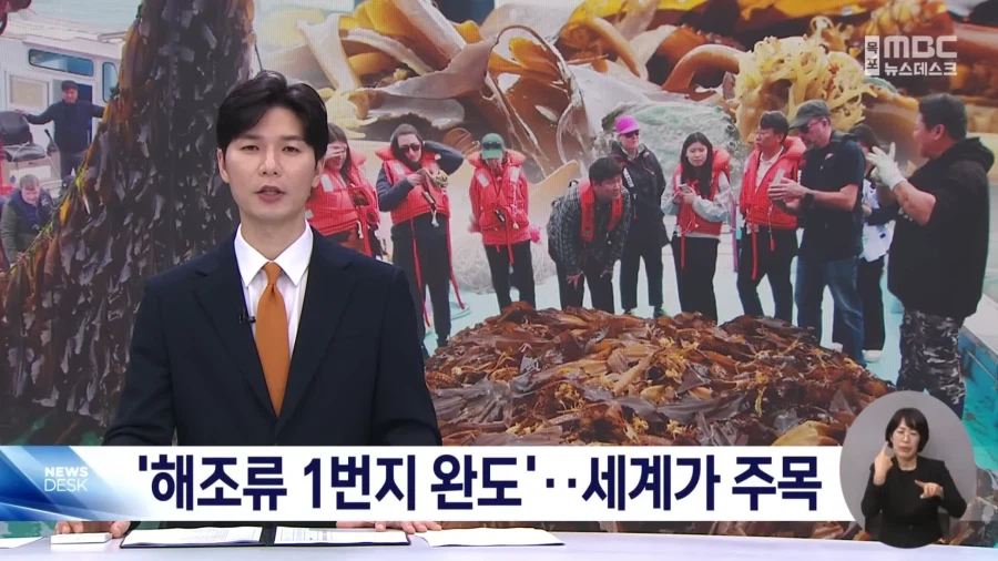 전 세계가 주목하고 있는 한국의 섬 근황.JPG_1.webp