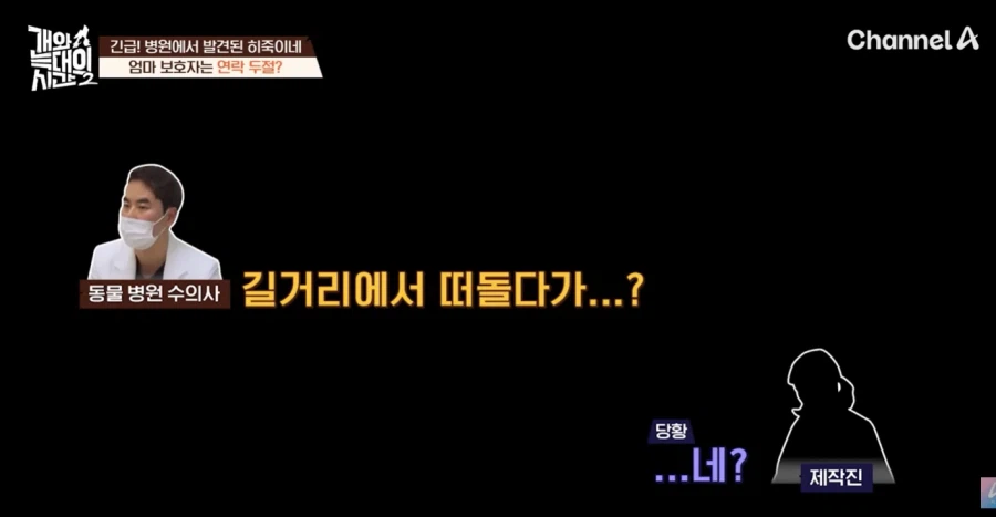 강형욱 나오는 개와 늑대의 시간 진짜 역대급 빌런나오더라_9.webp