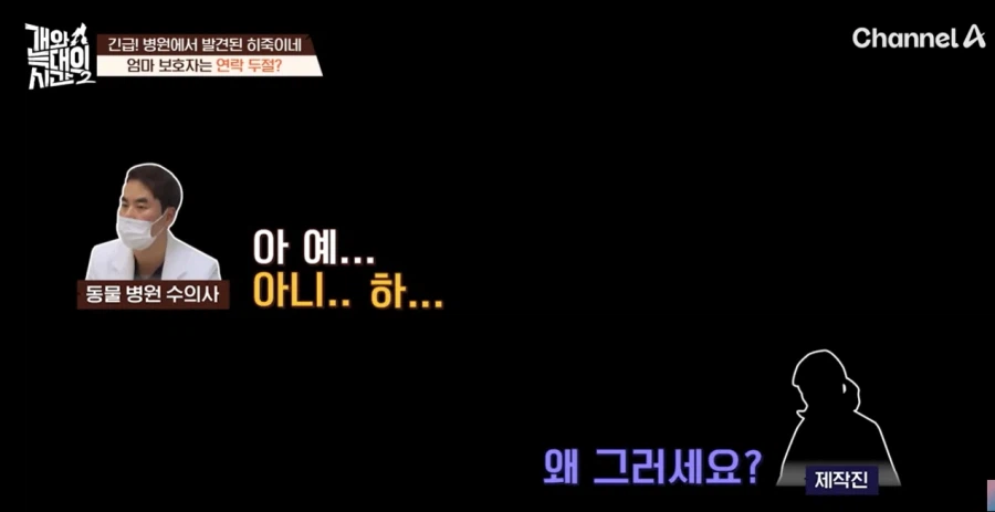 강형욱 나오는 개와 늑대의 시간 진짜 역대급 빌런나오더라_6.webp