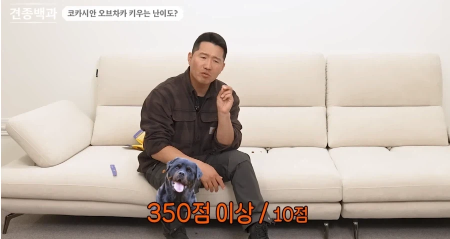 강형욱이 로트와일러 같은 맹견보다도 키우기 힘들다한 견종.JPG_9.webp