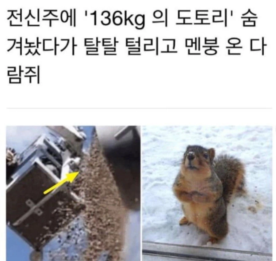 강제 철거 당해 망연자실한 집주인_1.webp