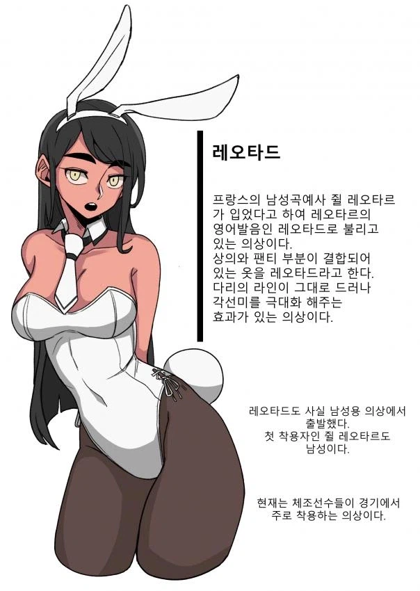 바니걸에 대해 알아보는 만화_9.webp