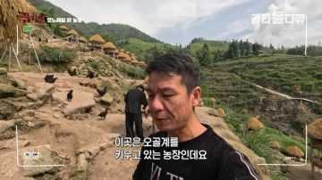 완전 동물복지 중국 닭 사육장_13.webp