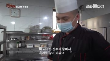 완전 동물복지 중국 닭 사육장_2.webp