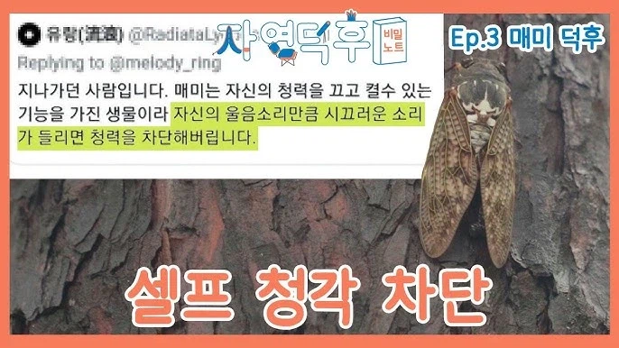내로남불 끝판왕인 곤충.jpg_2.webp