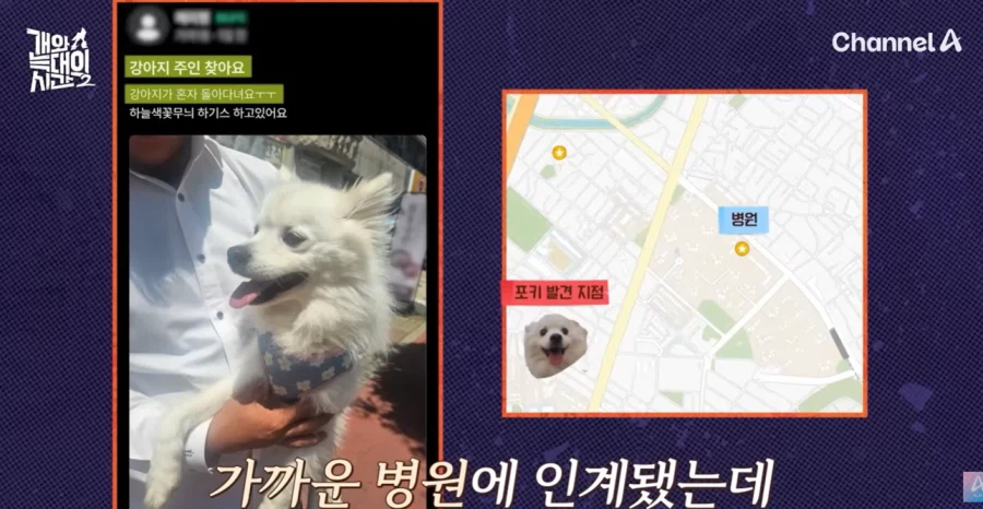 강형욱 나오는 개와 늑대의 시간 진짜 역대급 빌런나오더라_12.webp