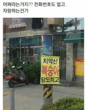 "젠장, 치악산 복숭아!"_1.webp