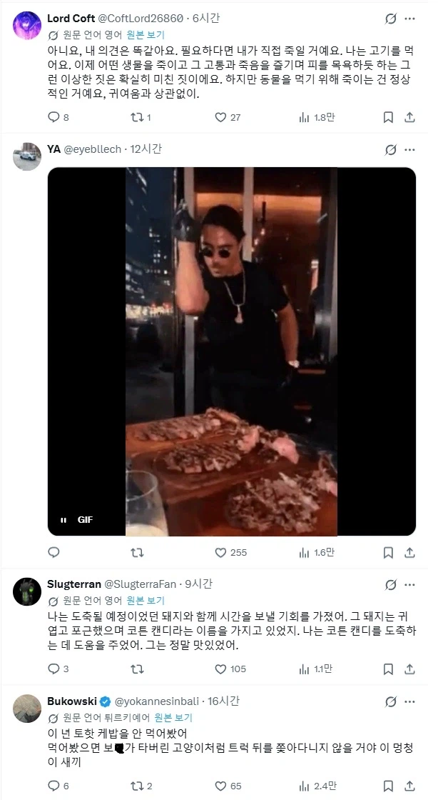 동물권리 활동가 : "이 도축장으로 향하는 동물들의 눈을 보세요"_4.webp