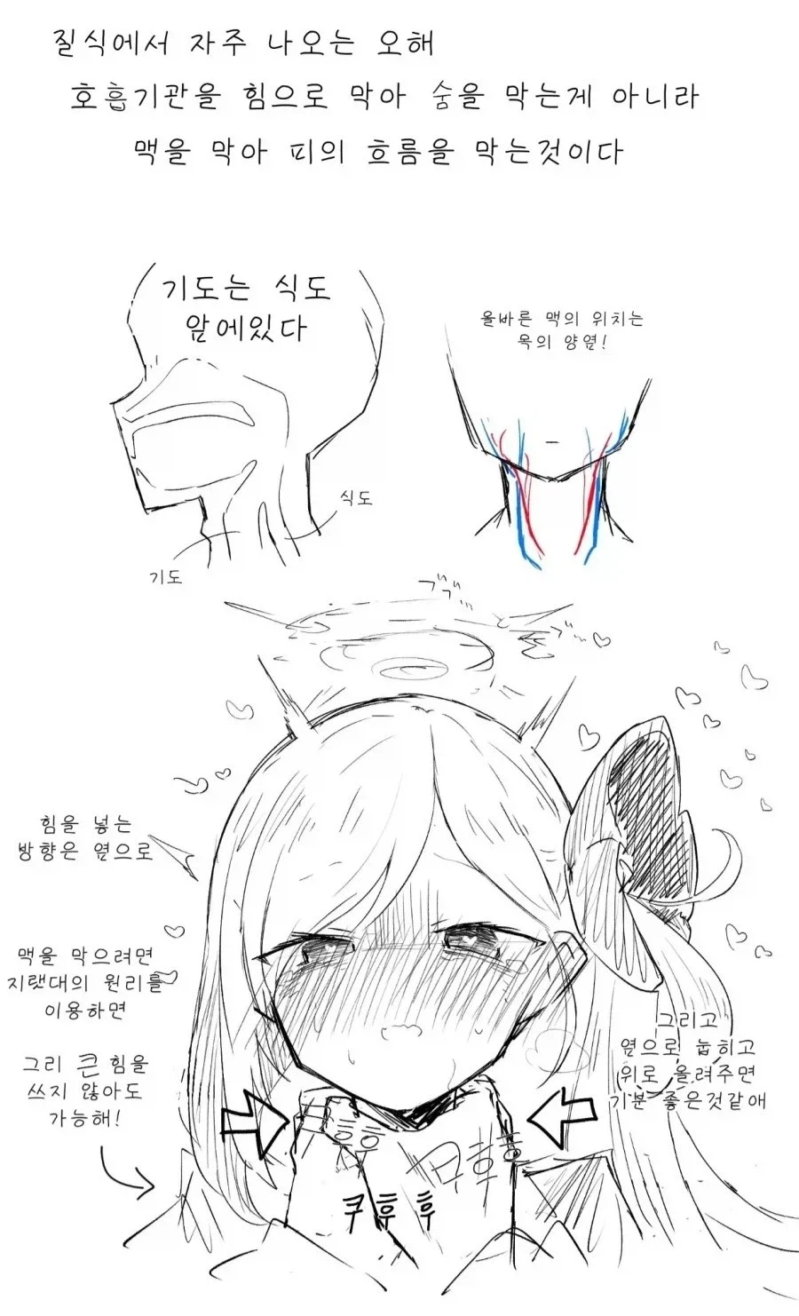 질식에 대한 흔한 오해_1.webp