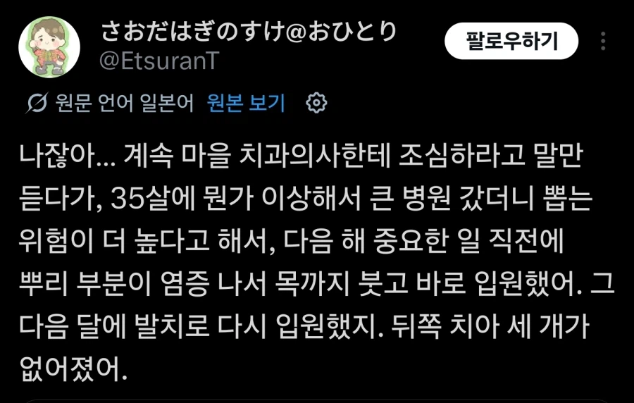 20년 넘게 자고 있는 폼폼푸린_6.webp