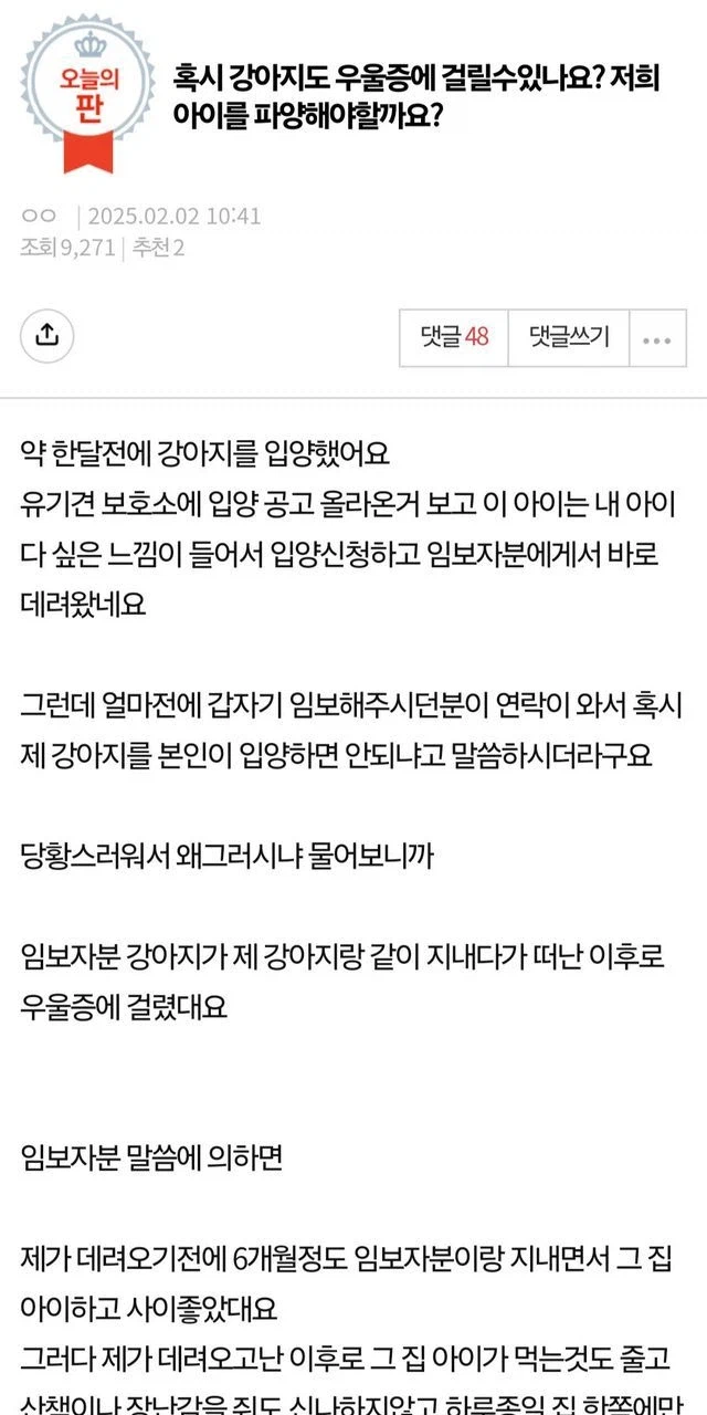 개도 우울증에 걸릴 수 있나요?.jpg_1.webp