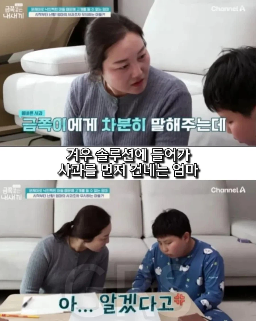 학폭으로 방송나왔던 금쪽이 근황_12.webp