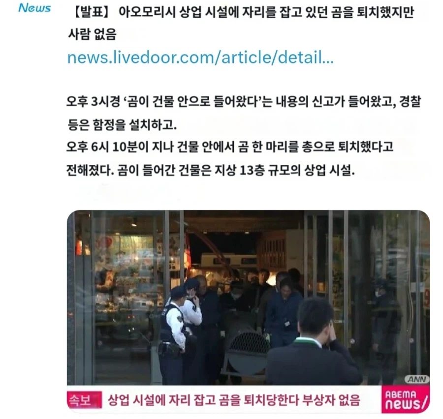 어제 시내 상업시설에 곰이 침입했던 일본 근황_3.webp