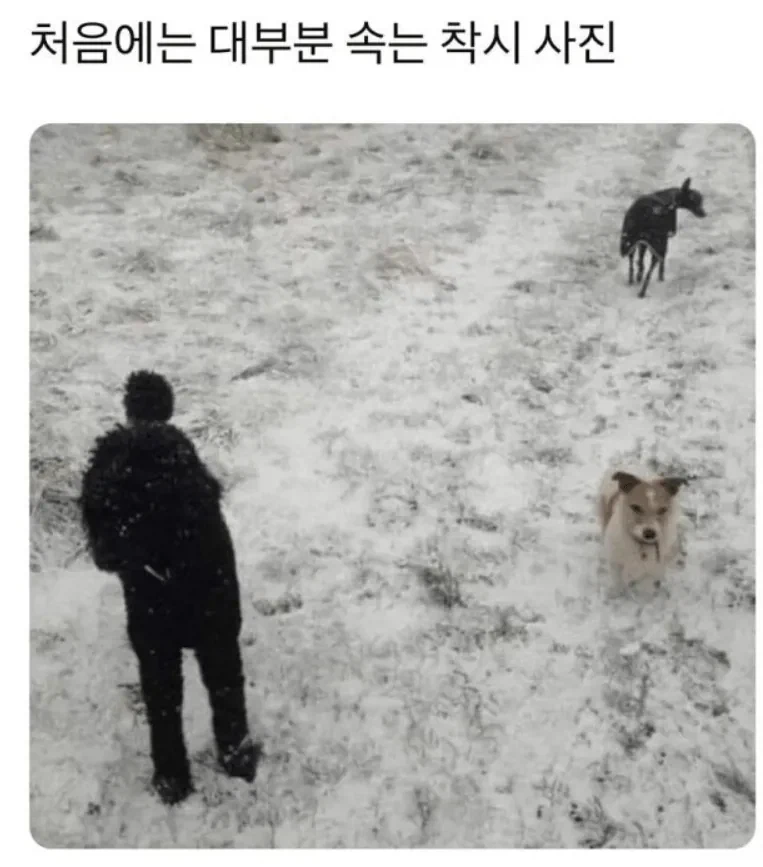 처음에는 대부분의 사람들이 속는다는 착시 사진.jpg_1.webp