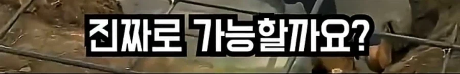 80KG 고기를 시멘트로 묻을 때 주의사항_2.webp