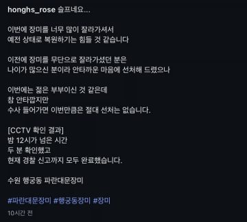 수원 행궁동 파란대문 장미 훼손 사건_4.webp