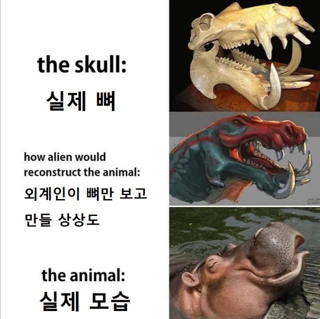 커뮤니티 고생물 뉴스는 일단 중립기어 박아야 하는 이유_12.webp
