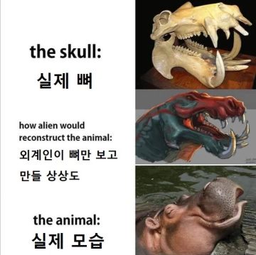 커뮤니티 고생물 뉴스는 일단 중립기어 박아야 하는 이유_12.webp