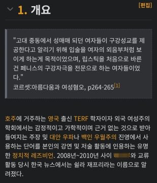 의외로 한국 페미니즘계에 82년생보다 큰 족적을 남긴 ㅅㅂ년_2.webp