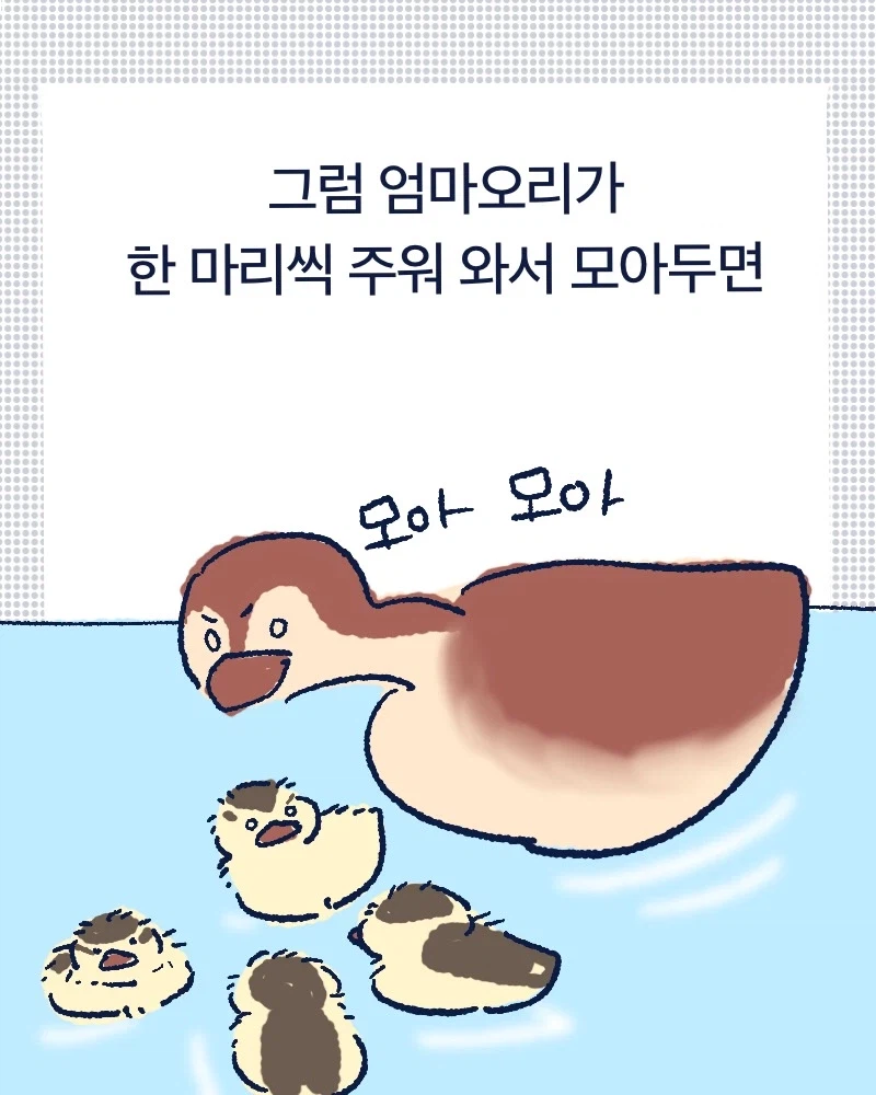 청계천 아기오리들.mp4_5.webp