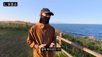 다시 한번 길고양이 문제에 대해 강하게 어필하는 유튜버 (※스압주의)_9.webp
