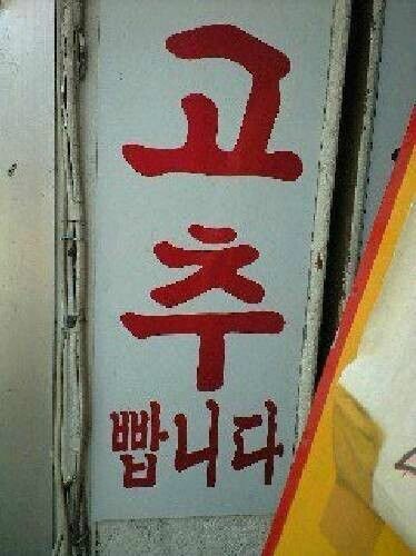 대한민국의 수상한 가게들_3.jpg