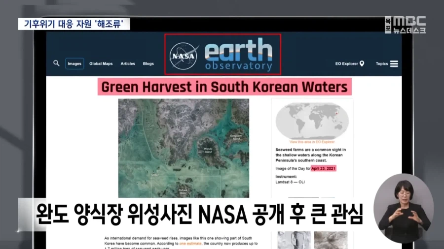 전 세계가 주목하고 있는 한국의 섬 근황.JPG_6.webp
