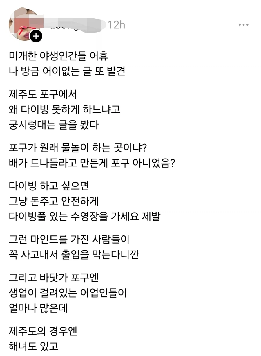 제주 포구 다이빙 막으면 안된다는 인간.jpg_6.webp