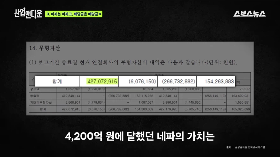홈플을 망친 그 사모펀드가 망친 기업 네파_35.webp