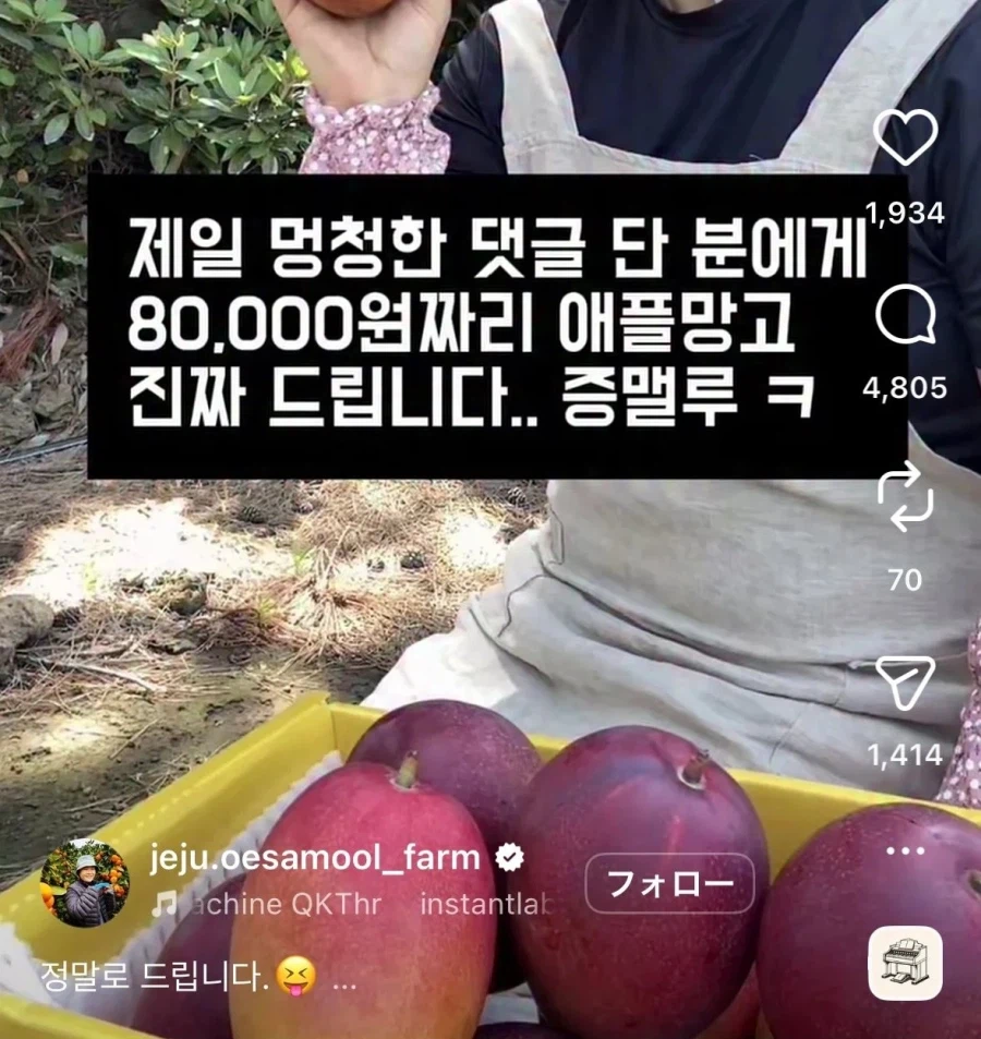 제일 멍청한 댓글을 단 분께 애플망고를 드려요~_1.webp