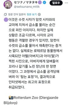고추물리는 사자의 진실_2.webp