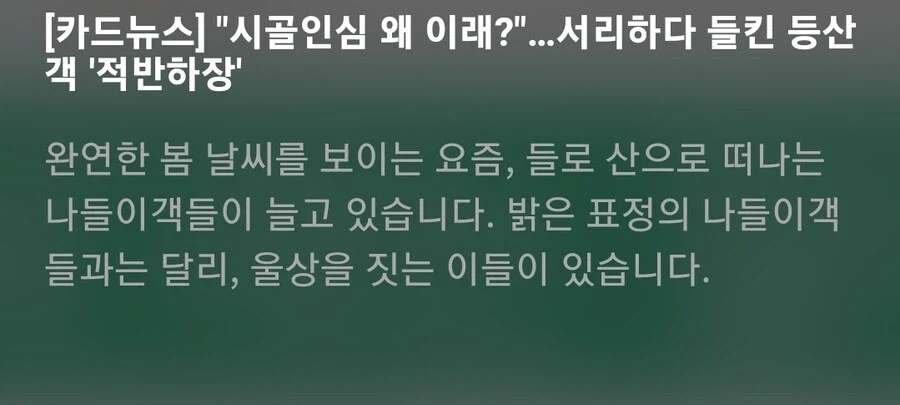 "한국인은 남이 두고간 물건 안훔친다"_2.webp
