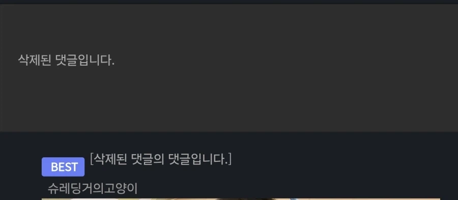 ??? : 왜 코스프레짤에 얼굴 가림?_8.webp