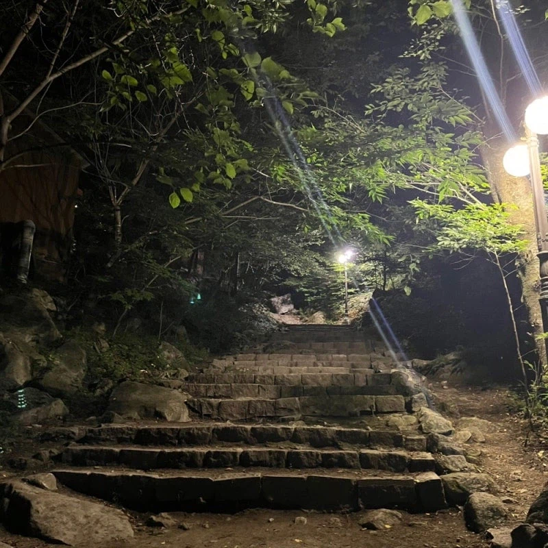 우리가 왜 서양의 백룸 공포를 이해하는가 싶었는데_2.webp