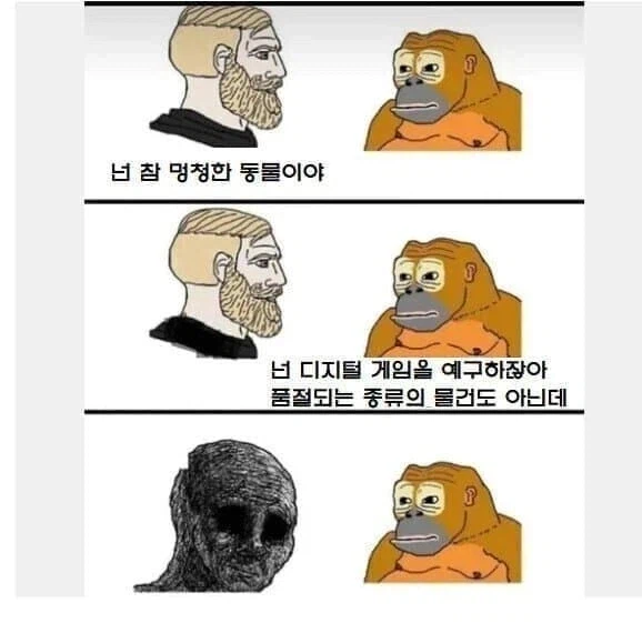 넌 참 멍청한 동물이야.jpg_1.webp