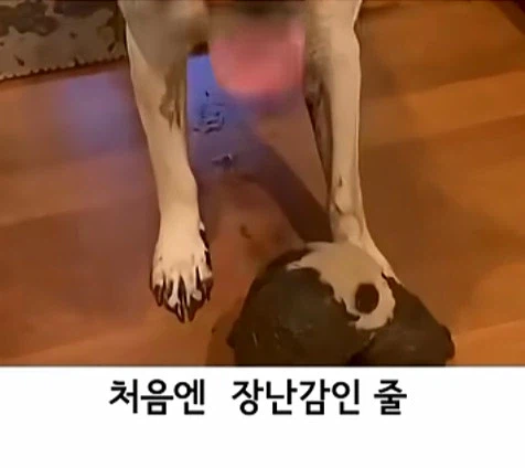 유투브 쇼츠 AI 뇌절 대잔치_2.webp