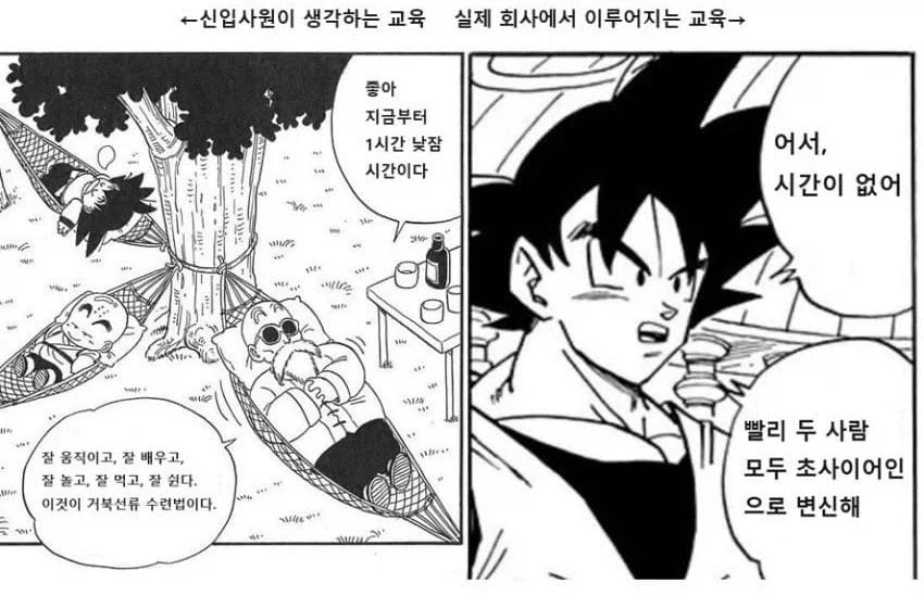 신입사원 교육 특.jpg_1.webp