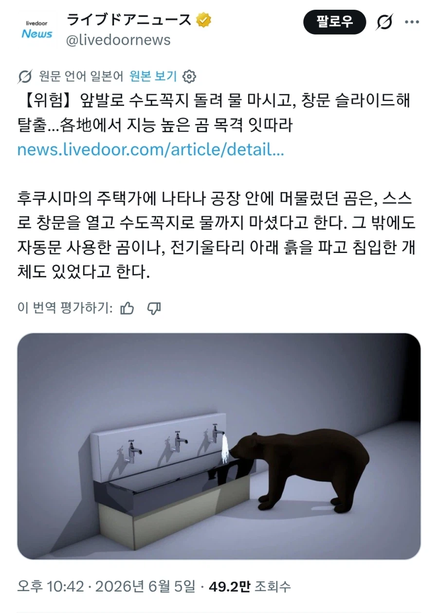 요즘 일본 곰 근황_1.webp