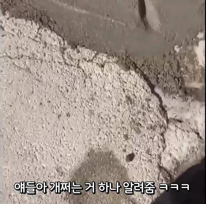 누가 콘크리트에 얼굴 꼴아 박았나봄ㅋㅋㅋㅋㅋㅋㅋㅋㅋㅋㅋㅋㅋㅋㅋㅋ_1.webp