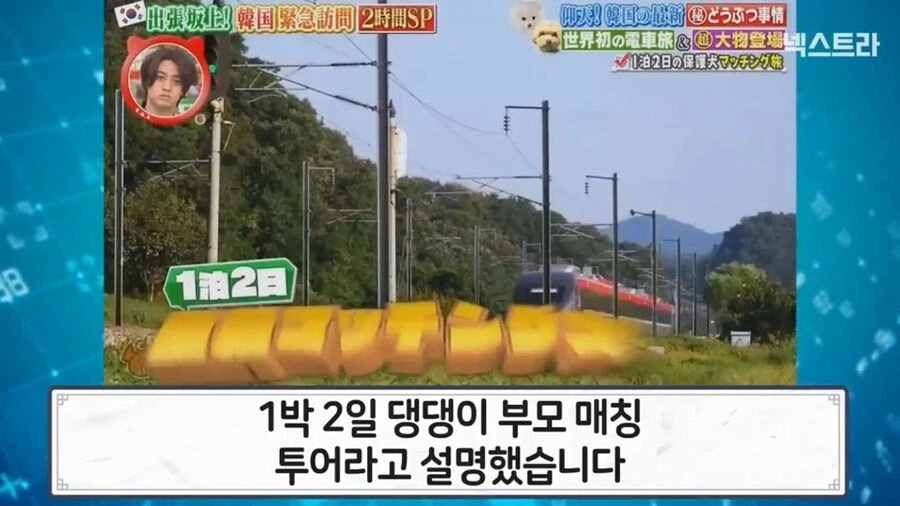 한국의 국책에 감탄하고 부러워한 일본인_3.webp