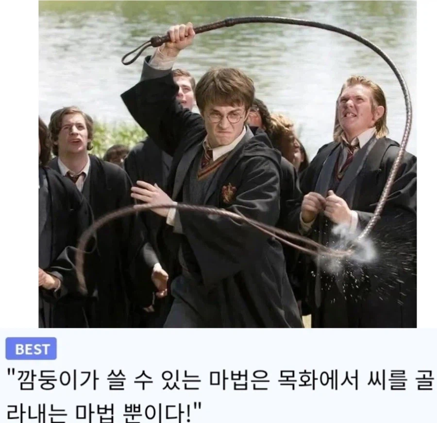 기대되는 해리포터 드라마판 리메이크 장면 1위_1.webp