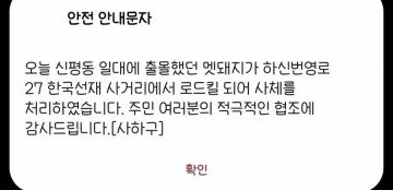 부산의 도로를 우습게 본 멧돼지의 최후_2.webp