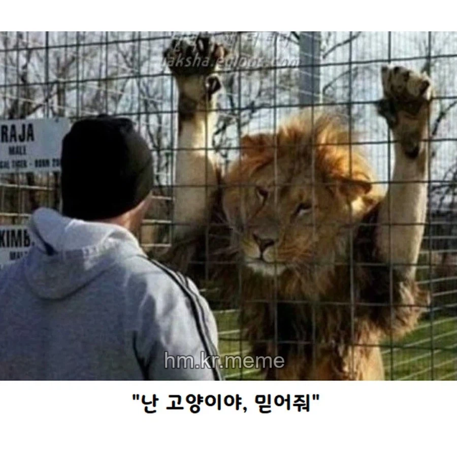 동물 제목학원 모음_6.webp