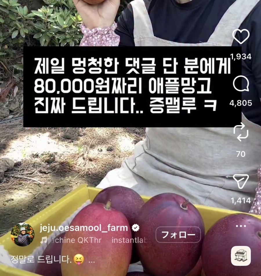 제일 멍청한 댓글 단 분에게 애플망고 드립니다.jpg_1.webp
