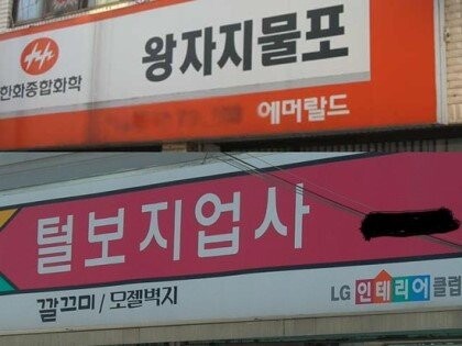 대한민국의 수상한 가게들_5.jpg