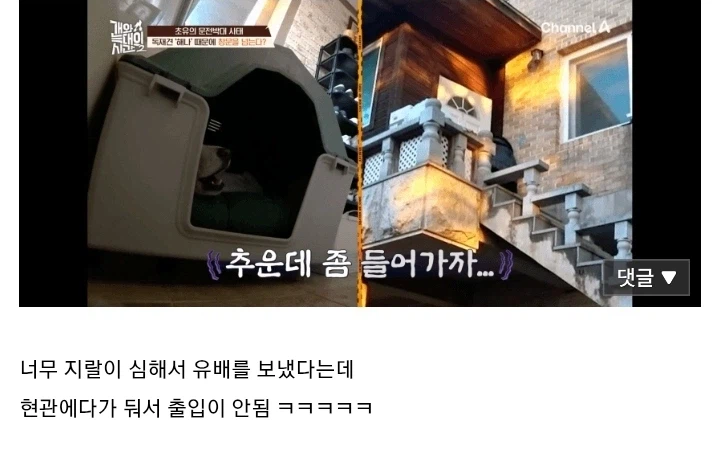 개팔자 상팔자 레전드...jpg_4.webp