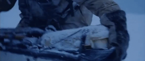 전세계 인류들에게 기후변화 심각성을 설득하는 방법_6.gif